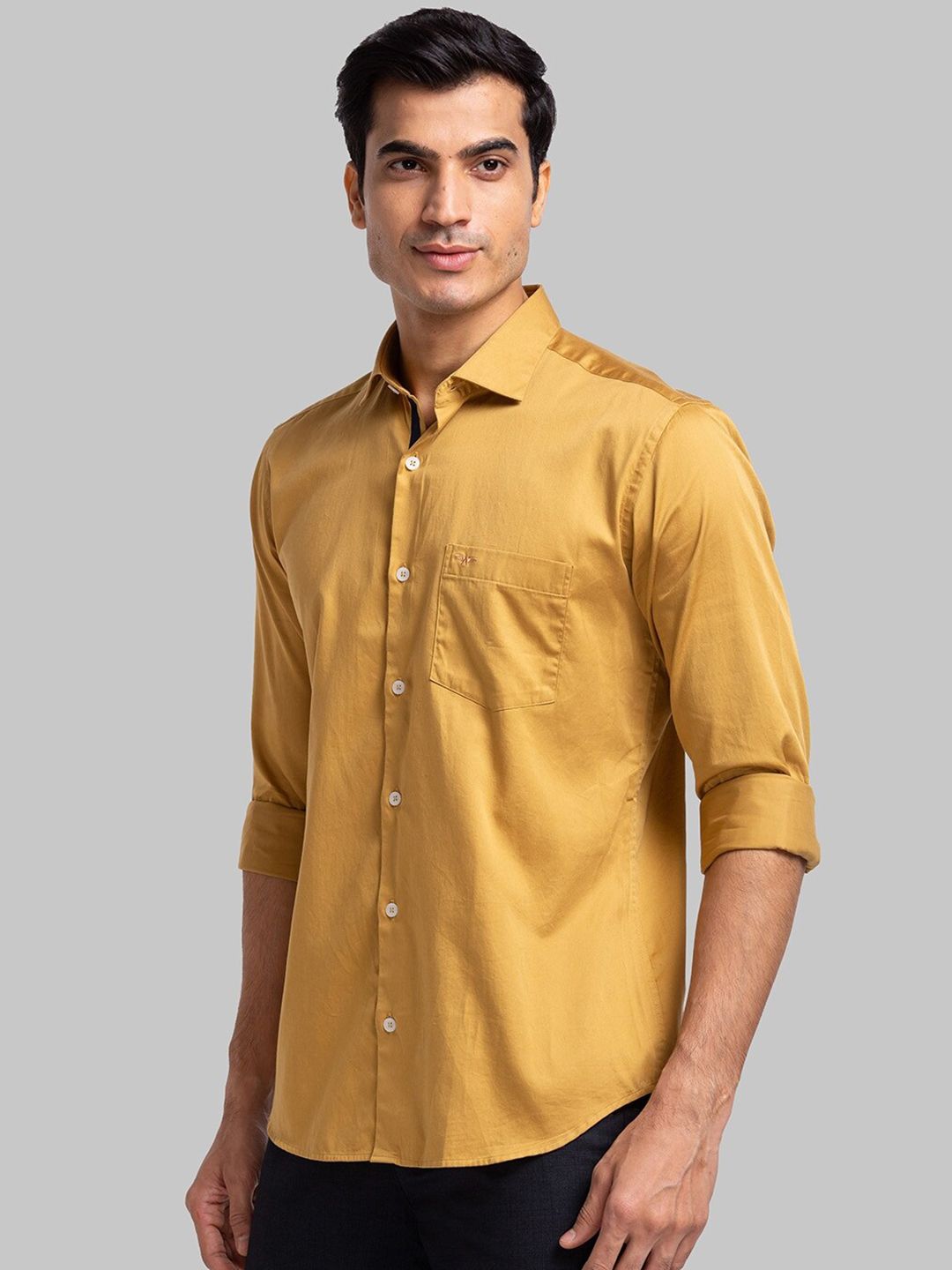Park Avenue Slim Fit Opaque Casual Cotton Shirt