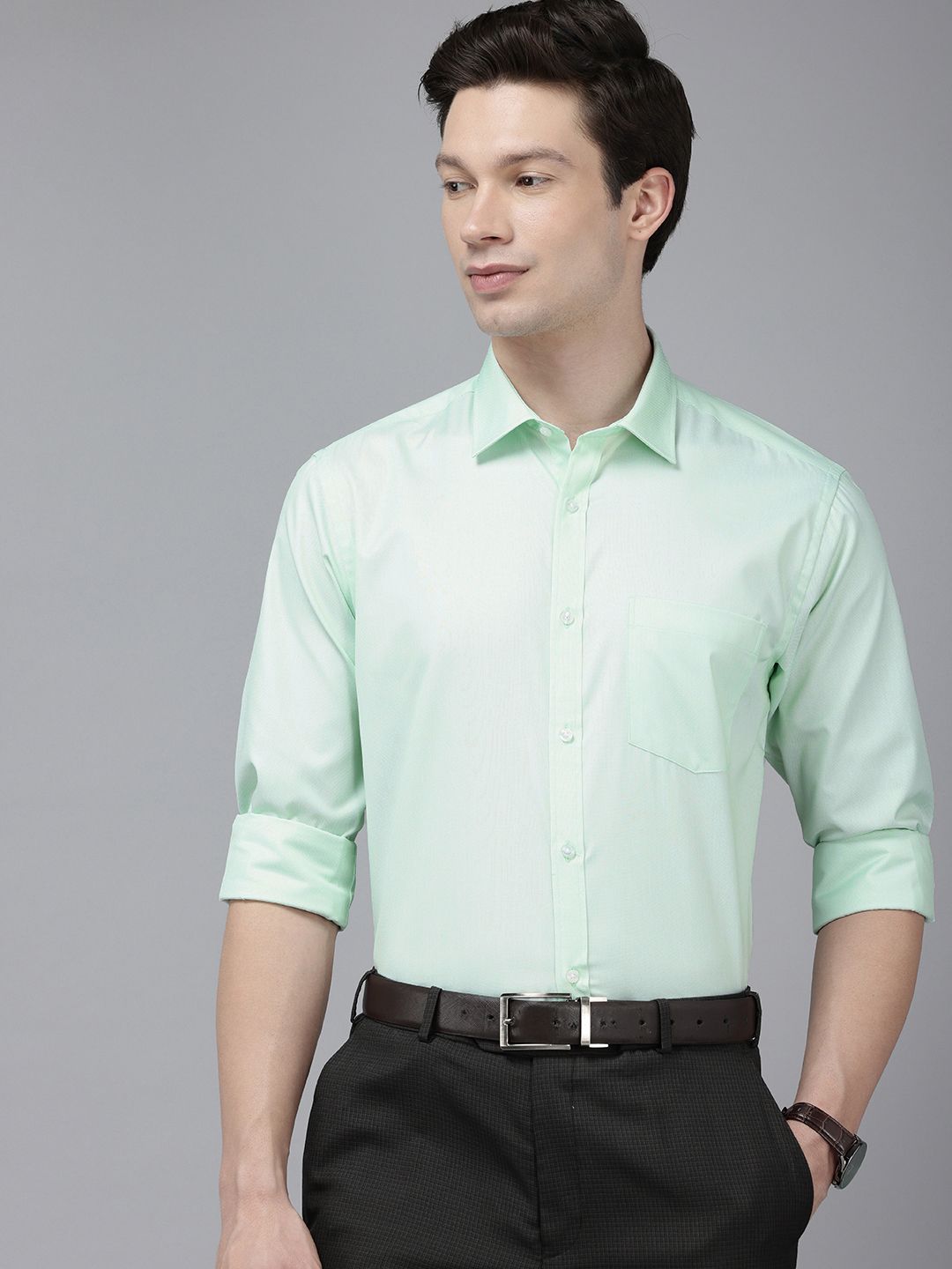 Park Avenue Slim Fit Opaque Formal Shirt