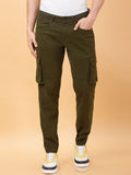 Being Human Men Cargos Trousers