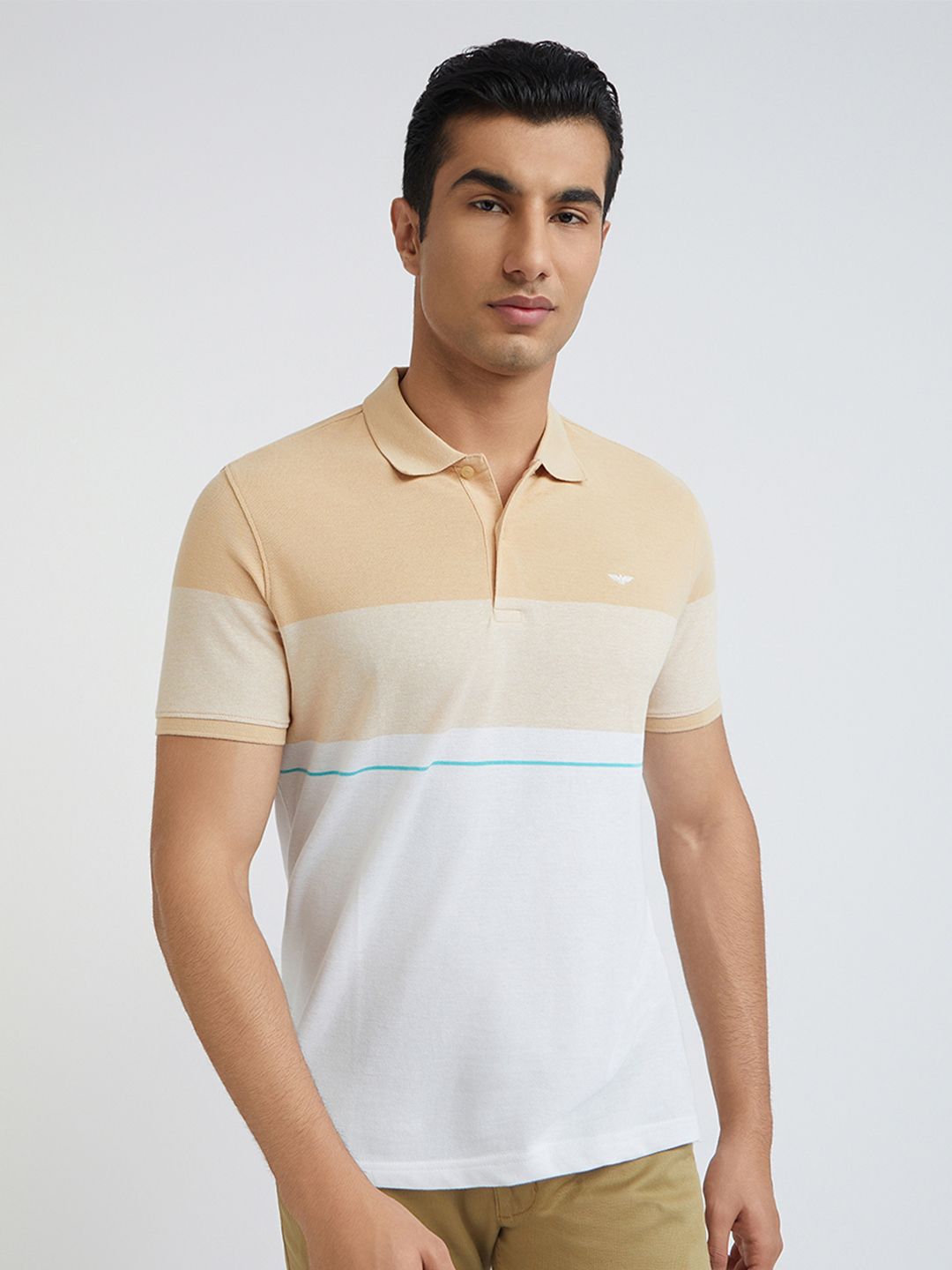 Park Avenue Striped Polo Collar Slim Fit T-shirt