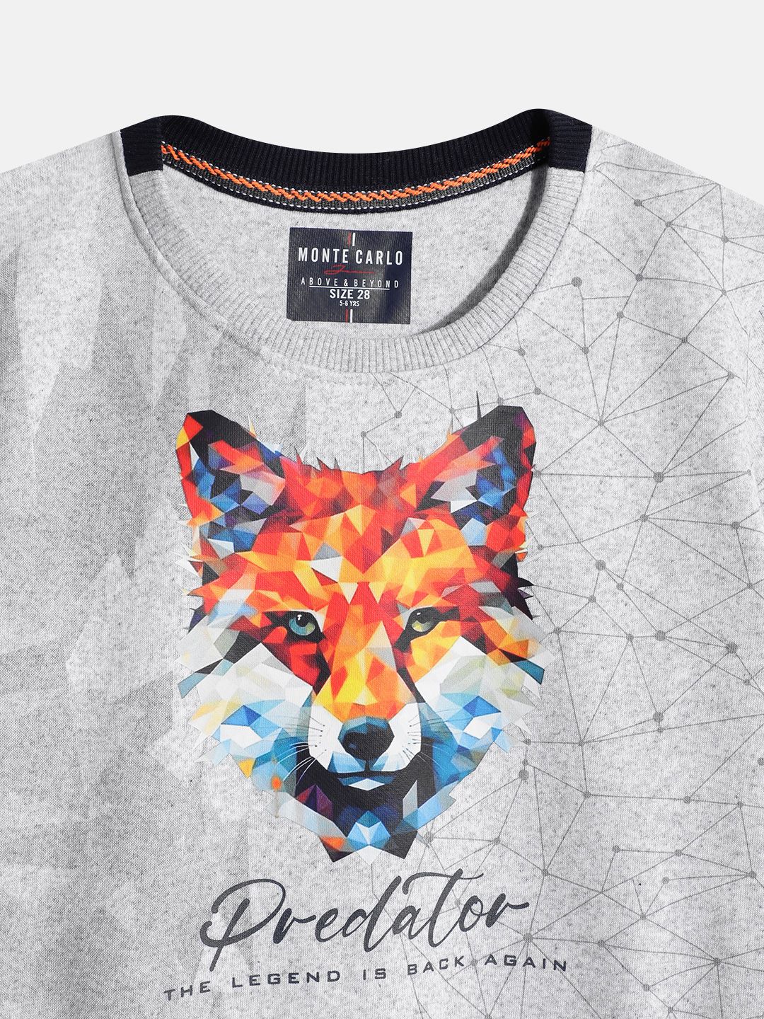 Monte Carlo Boys Graphic Printed Sweatshirt