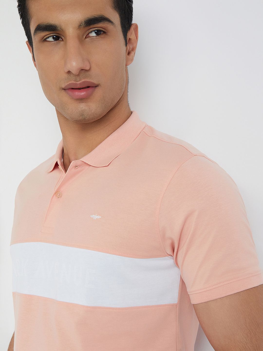 Park Avenue Striped Slim Fit Polo Collar T-shirt