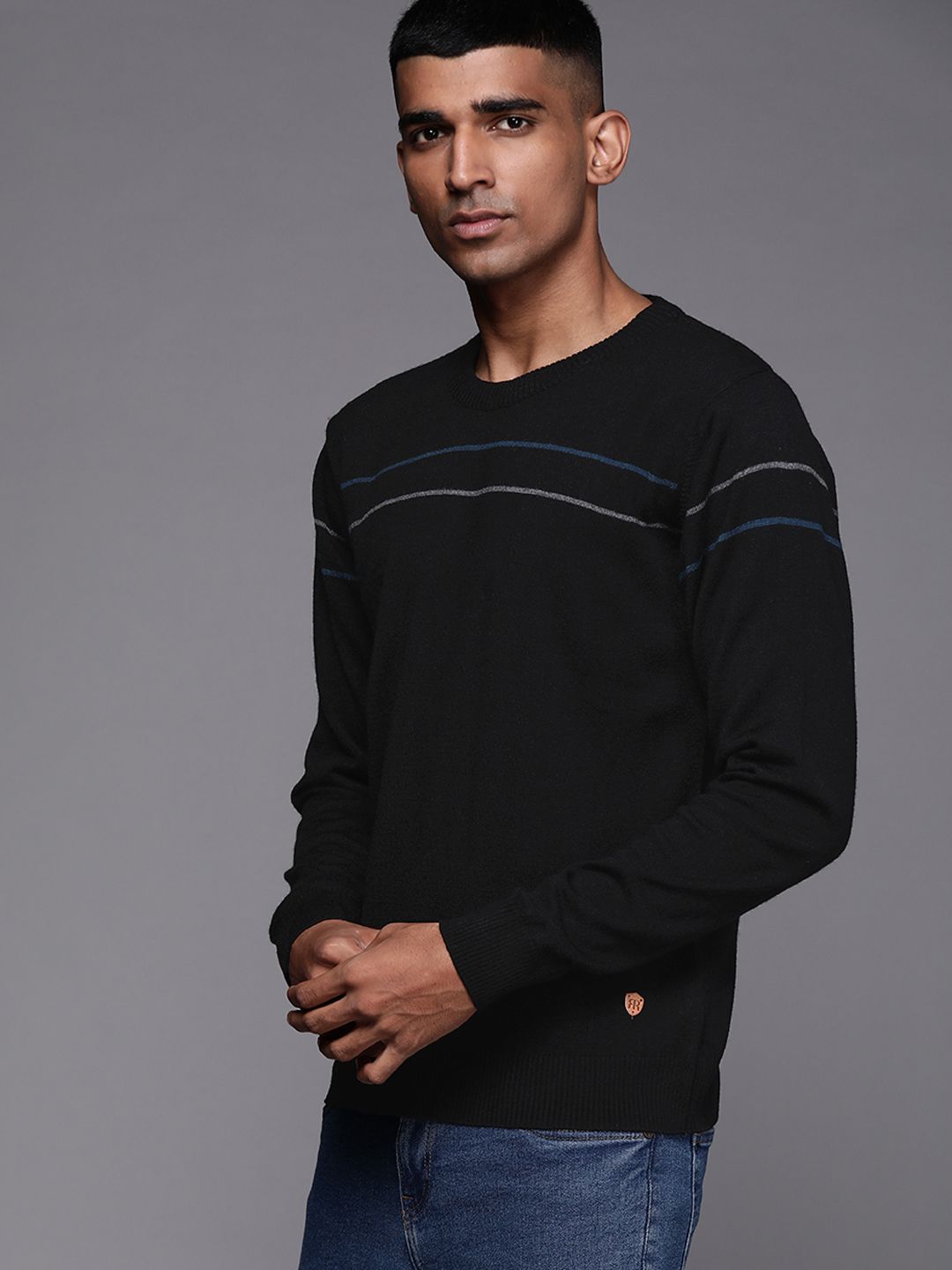 Raymond Men Solid Pullover