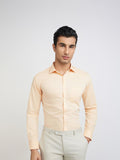 Park Avenue Men Slim Fit Slim Fit Textured Work Formal Shirt
