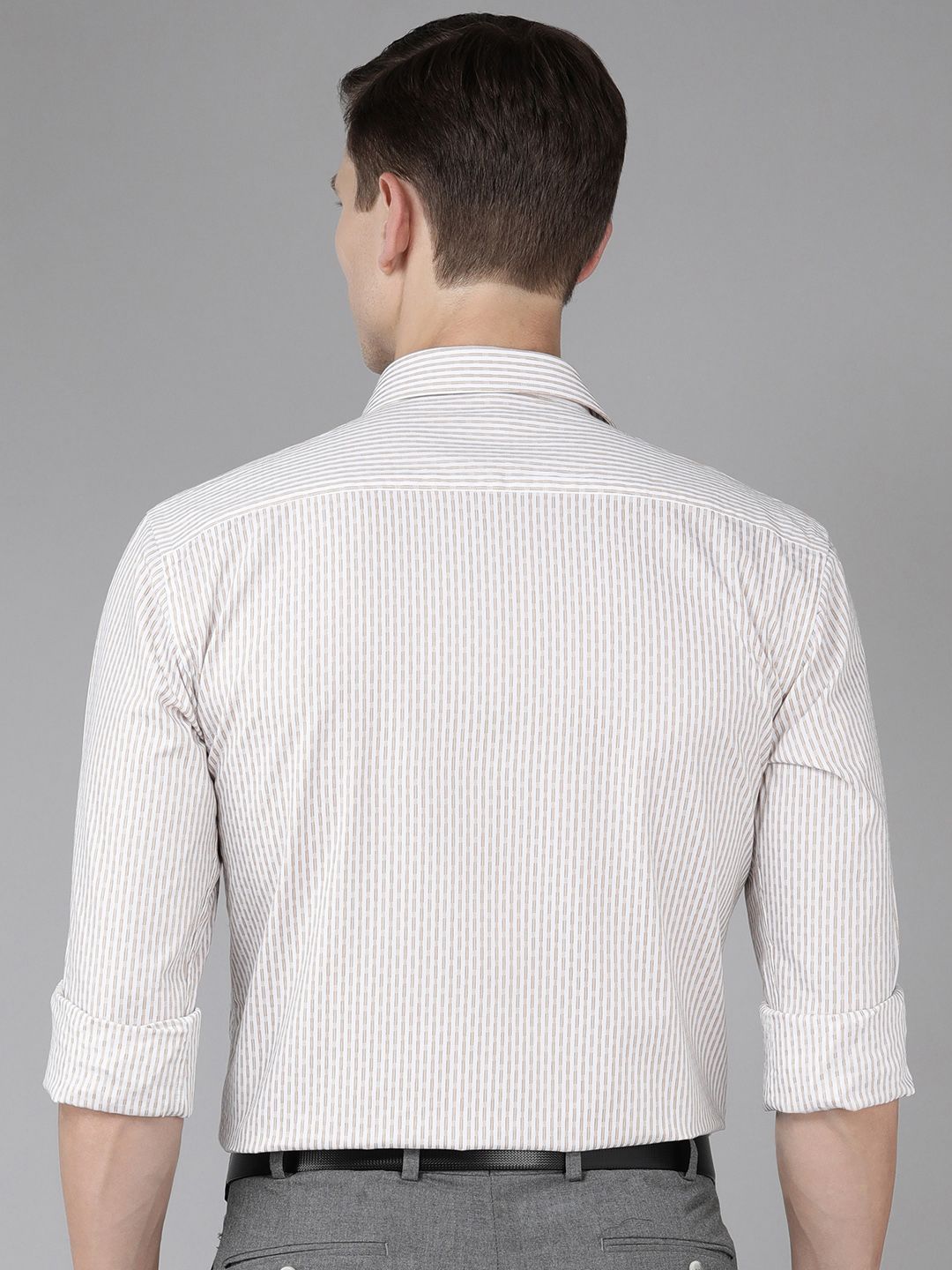 Park Avenue Men Slim Fit Vertical Stripes Opaque Pure Cotton Formal Shirt