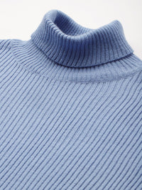 DressBerry Ribbed Turtleneck Pullover