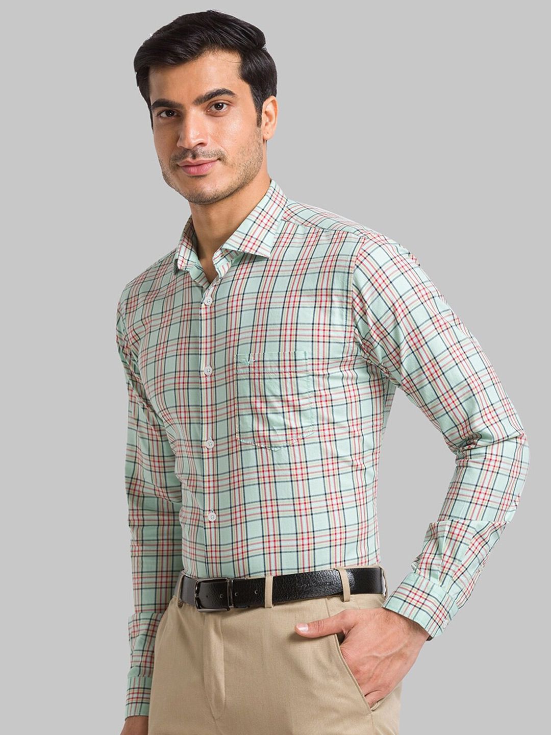 Park Avenue Slim Fit Checked Pure Cotton Formal Shirt