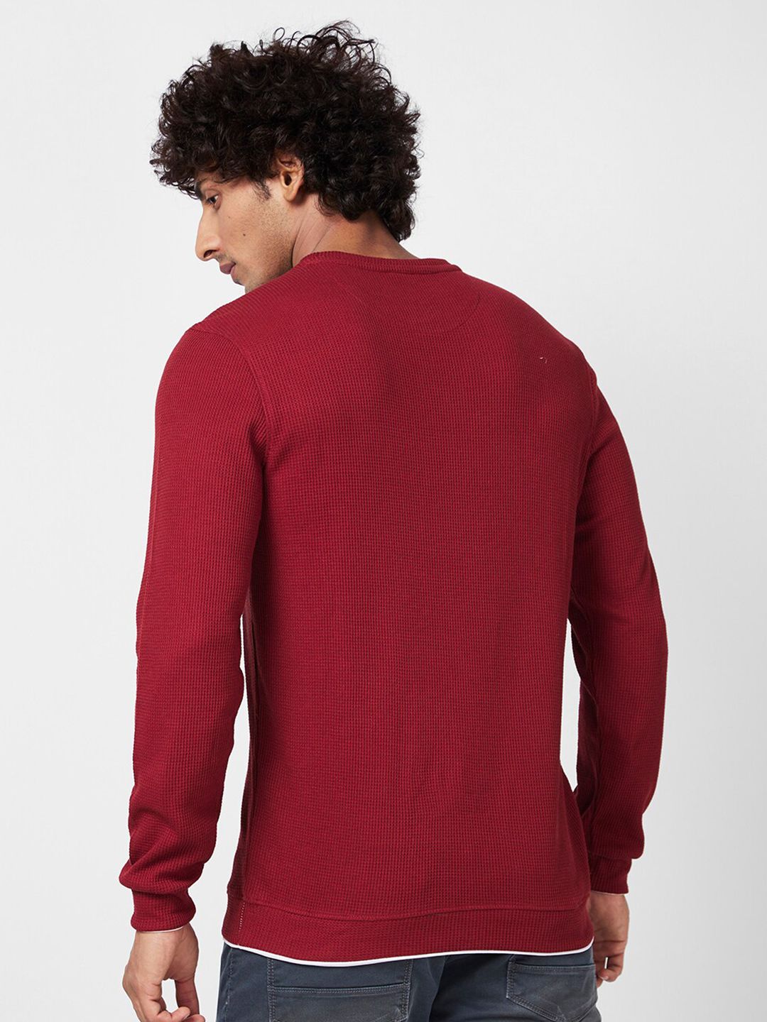 SPYKAR Round Neck Cotton Sweatshirt
