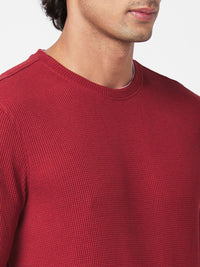 SPYKAR Round Neck Cotton Sweatshirt