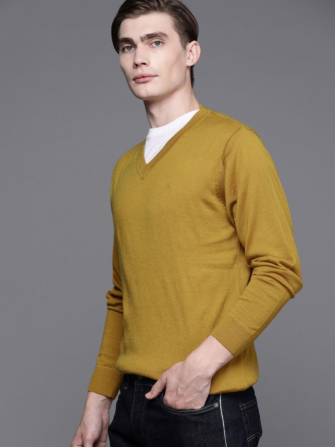 Raymond Men Solid Pullover