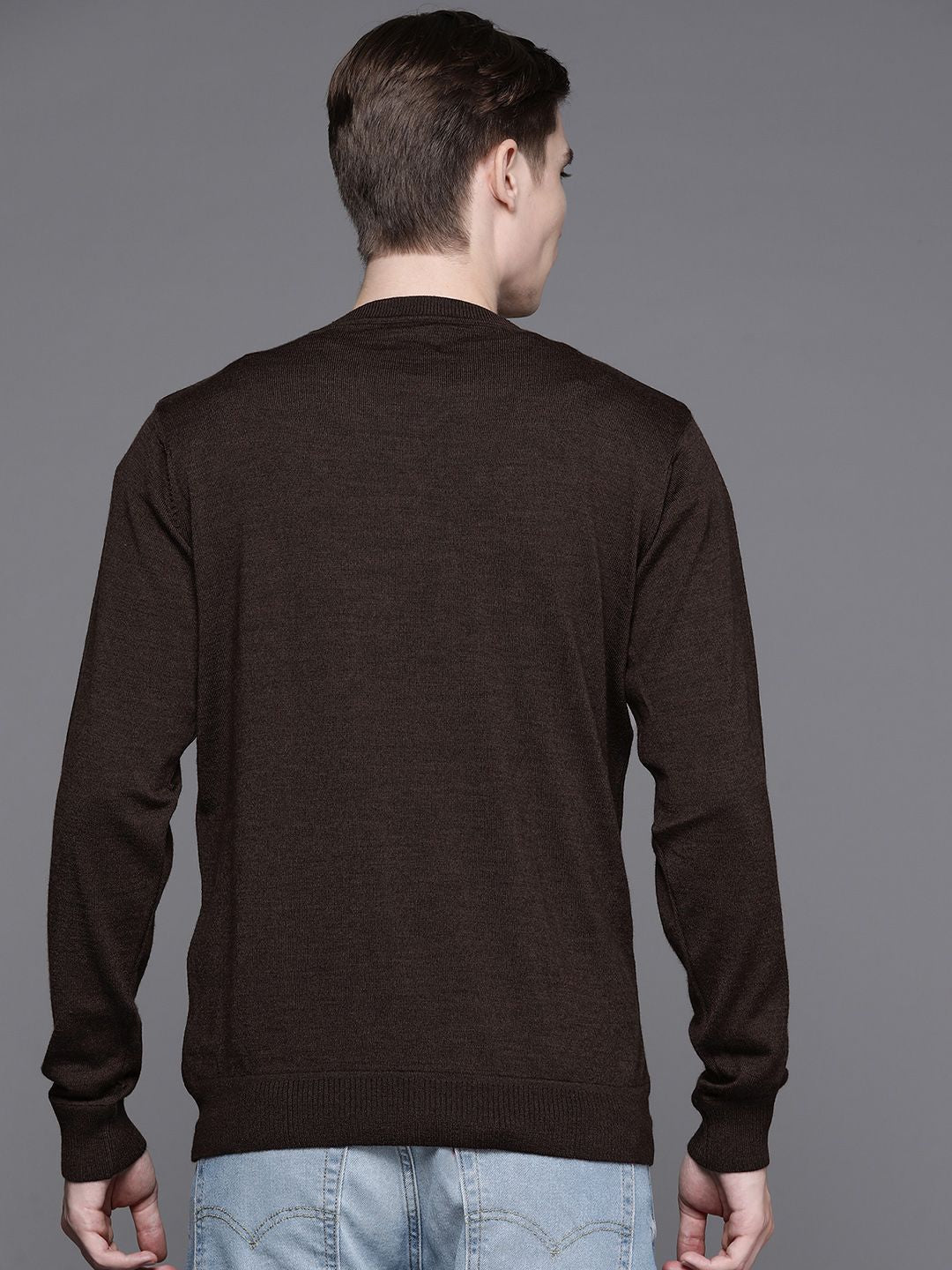 Raymond Men Solid Pullover