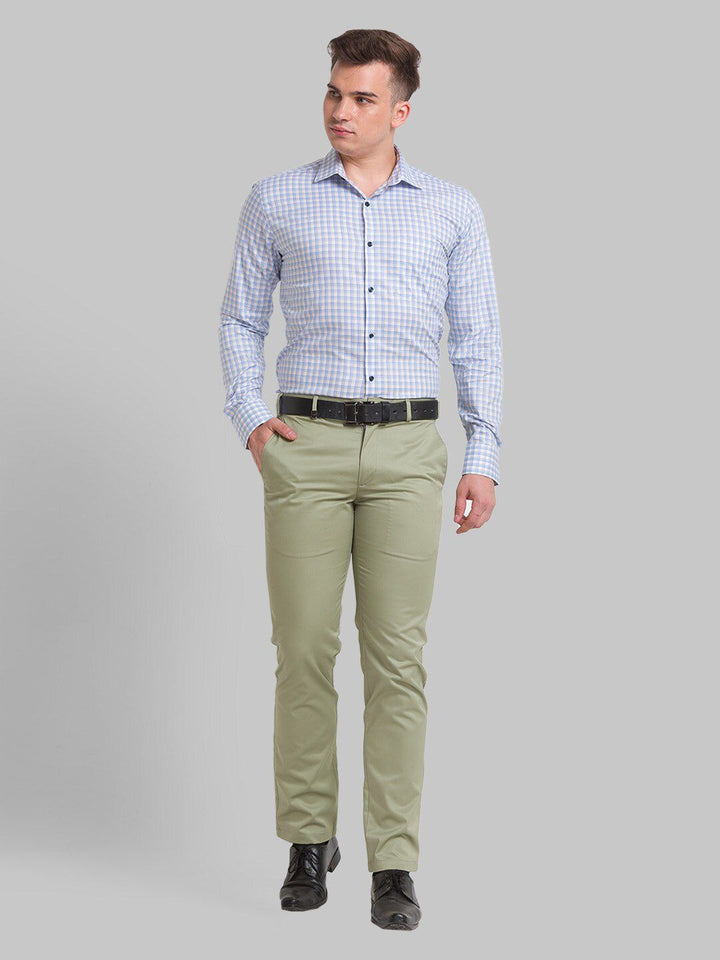 Park Avenue Men Checked Formal Slim Fit Cotton Shirt