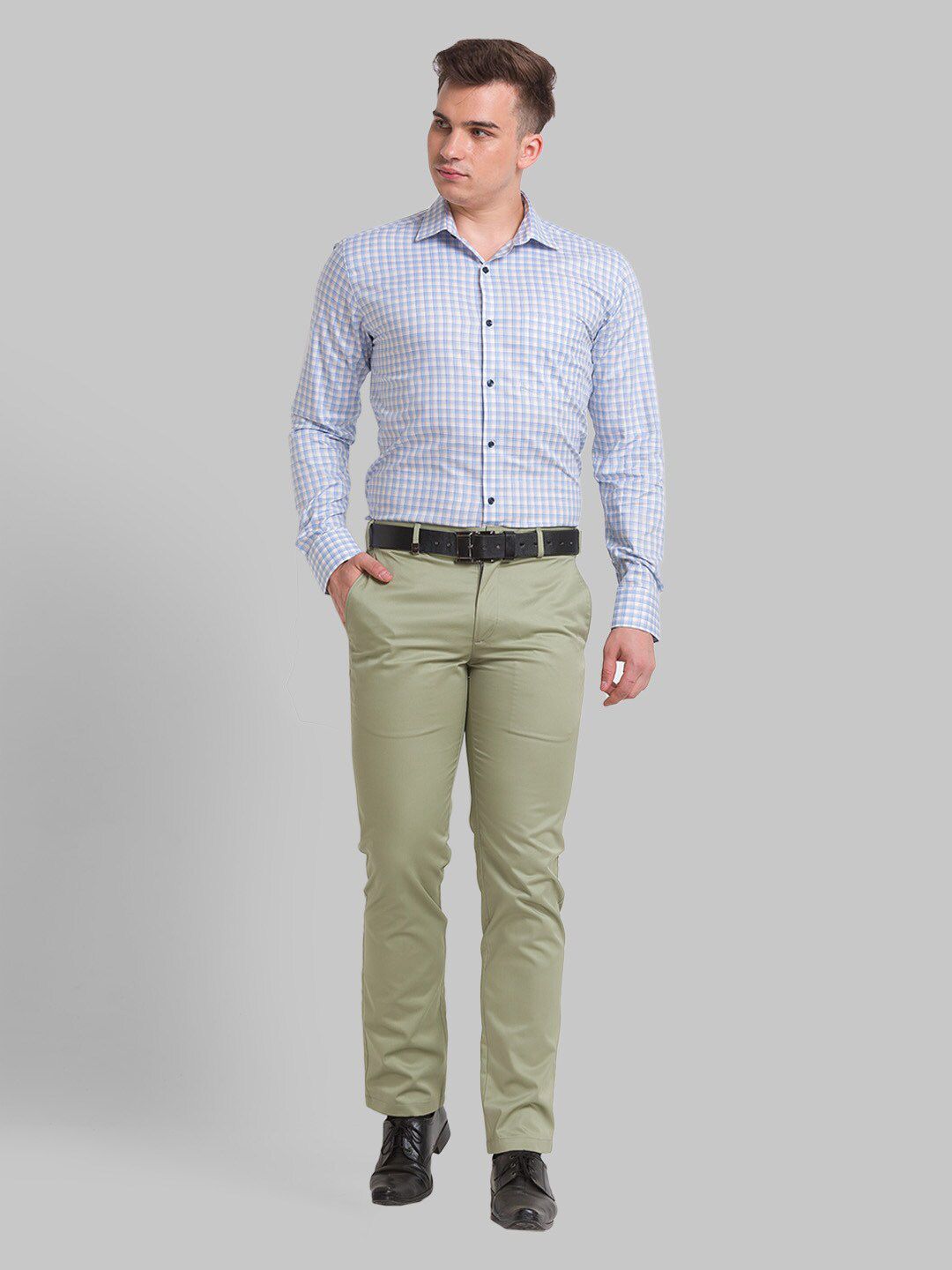 Park Avenue Men Checked Formal Slim Fit Cotton Shirt