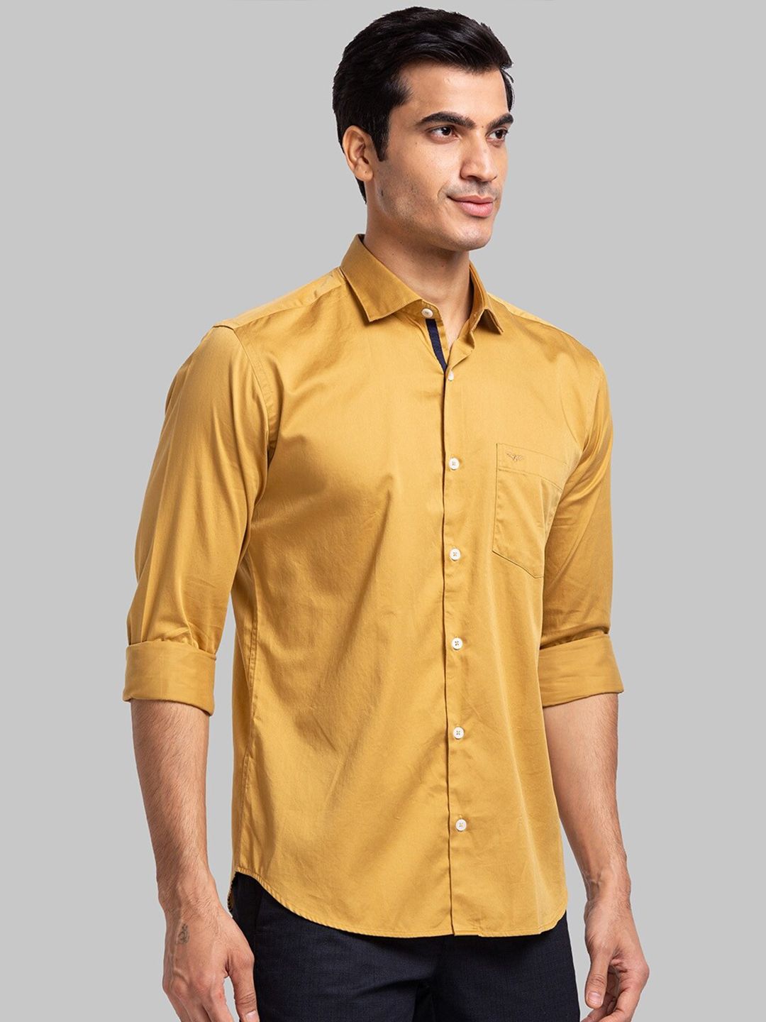 Park Avenue Slim Fit Opaque Casual Cotton Shirt