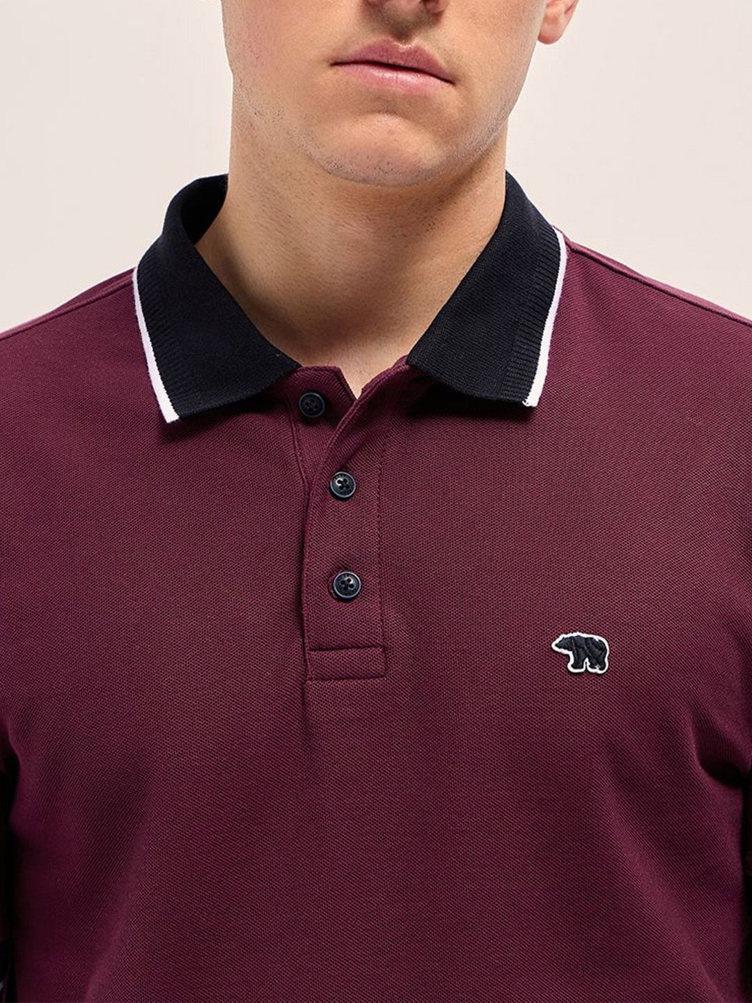 THE BEAR HOUSE Men Solid Polo Collar Cotton T-shirt