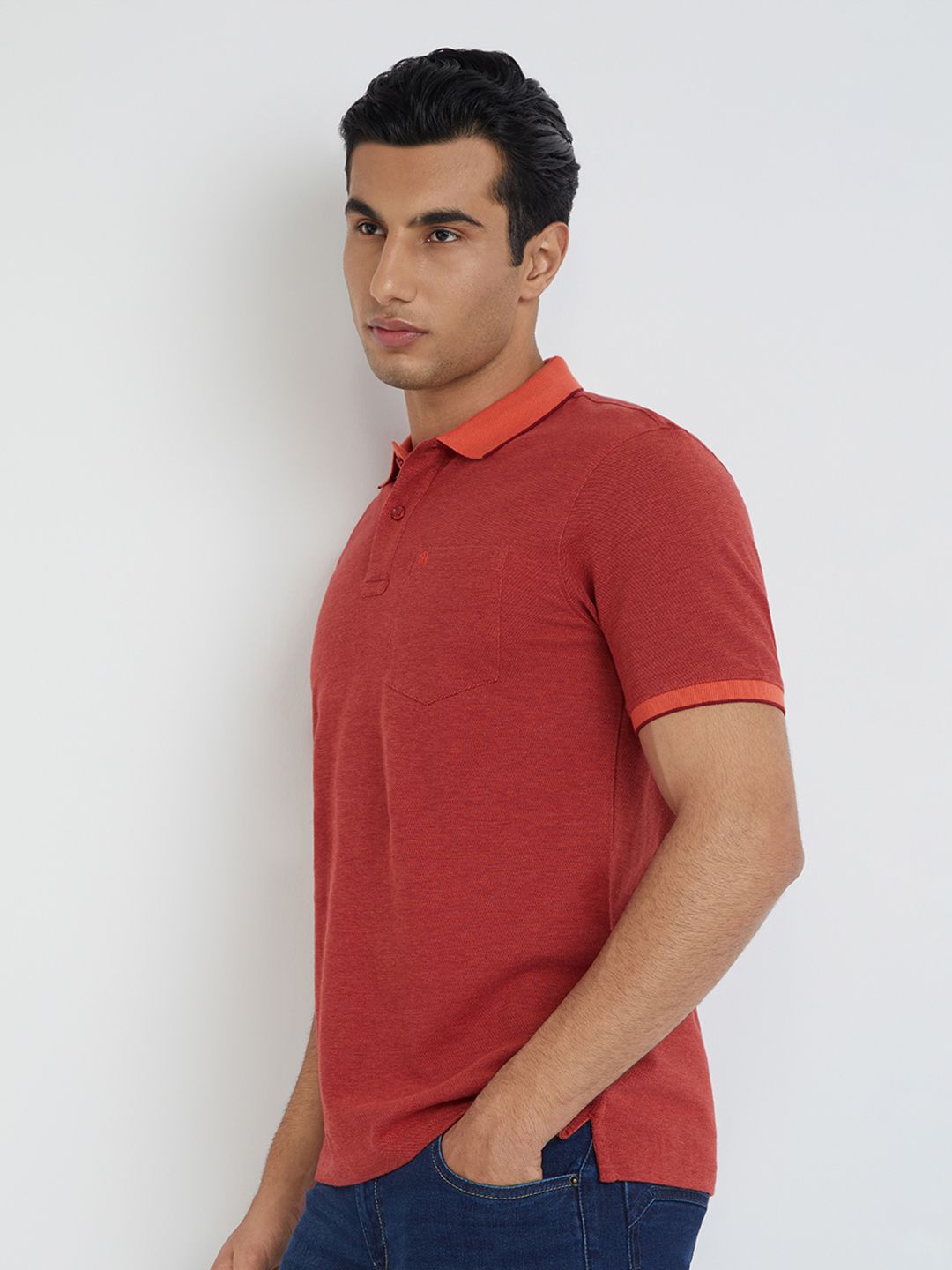 Raymond Pure Cotton Modern Fit Polo Collar T-shirt