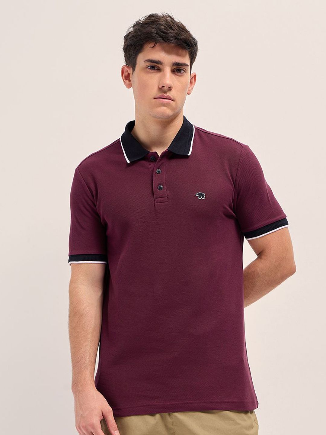 THE BEAR HOUSE Men Solid Polo Collar Cotton T-shirt