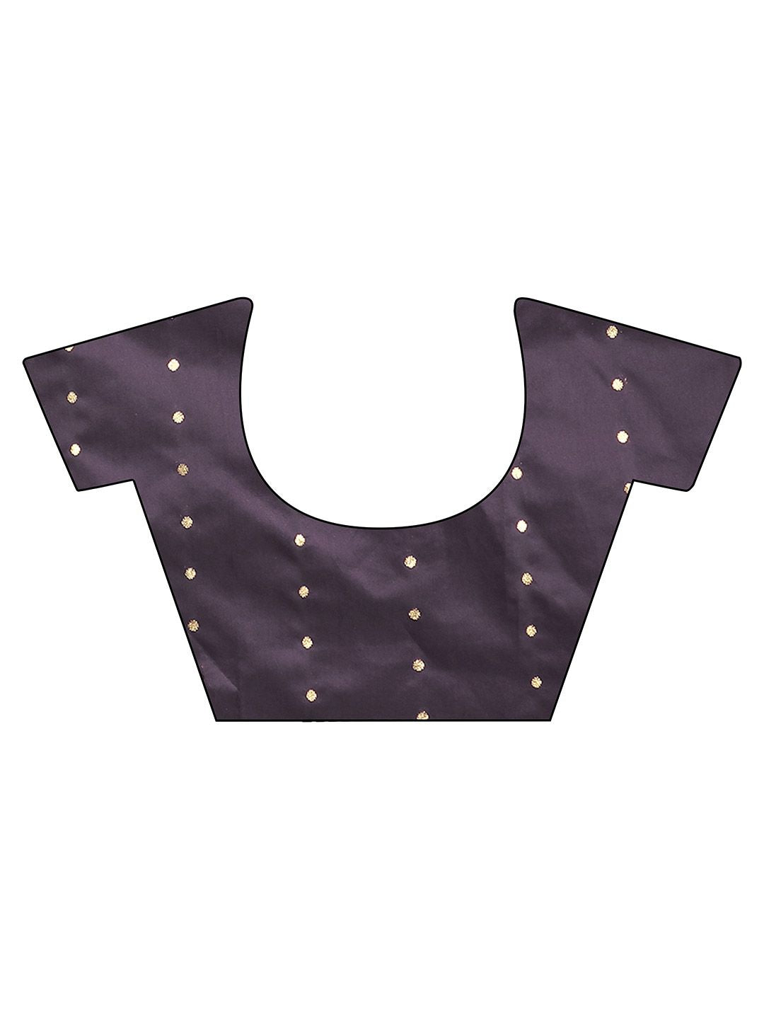 Tikhi Imli Embellished Border Saree