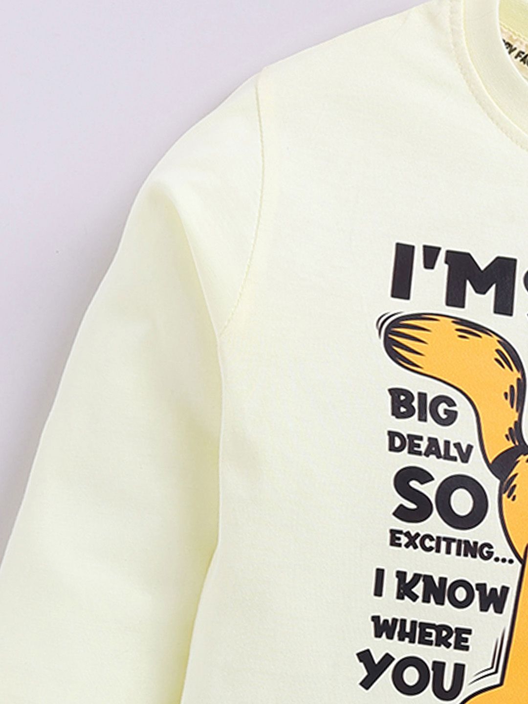 Happy Faces Boys Garfield Printed Pure Cotton T-shirt