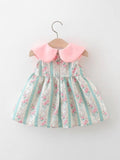 YK Floral Print Peter Pan Collar Fit & Flare Dress
