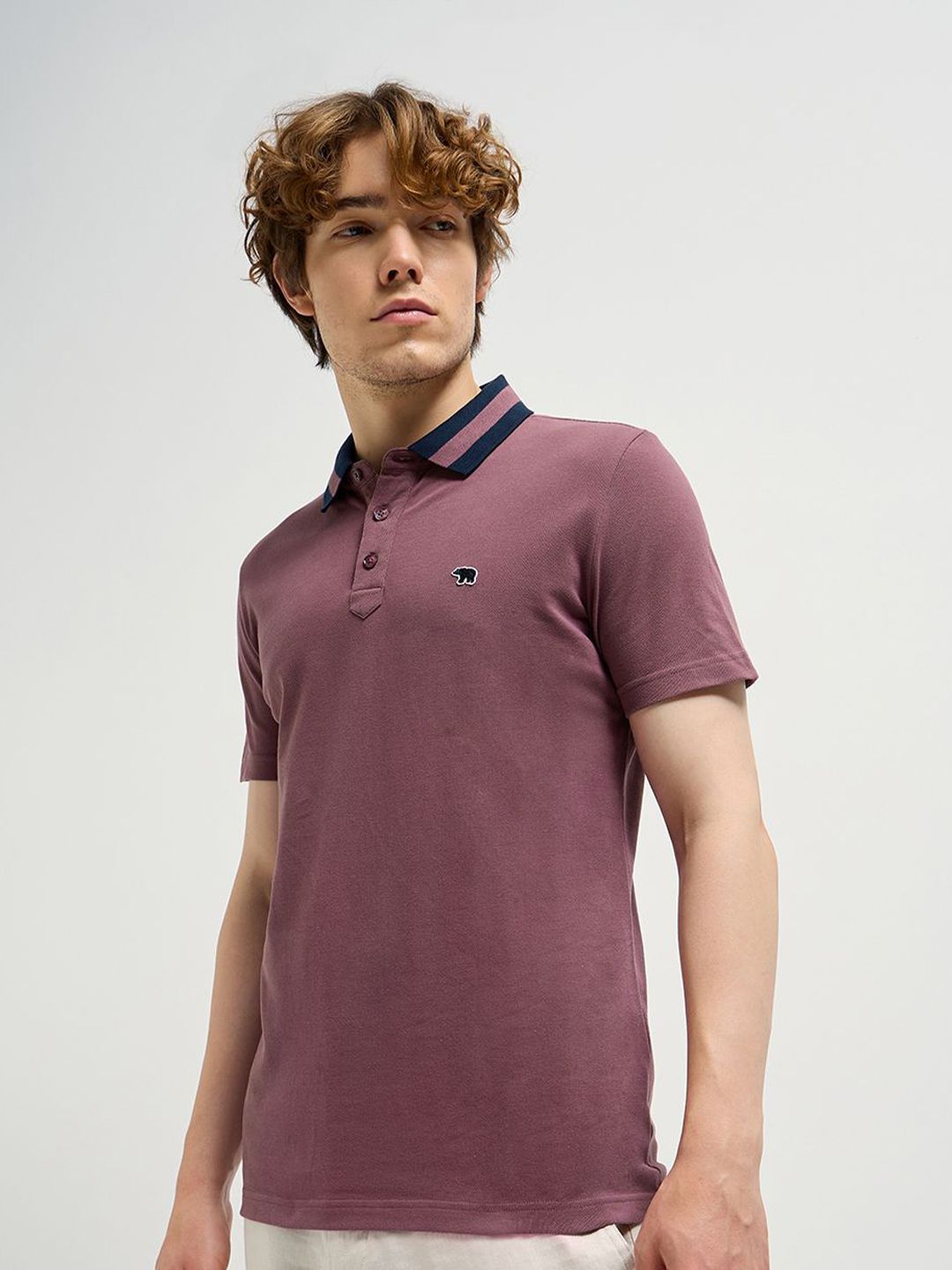 THE BEAR HOUSE Men Solid Polo Collar Pure Cotton T-shirt