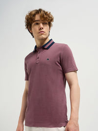 THE BEAR HOUSE Men Solid Polo Collar Pure Cotton T-shirt