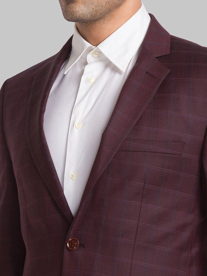Park Avenue Men Checked Single Breasted Two Piece Formal Suit