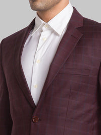 Park Avenue Men Checked Single Breasted Two Piece Formal Suit