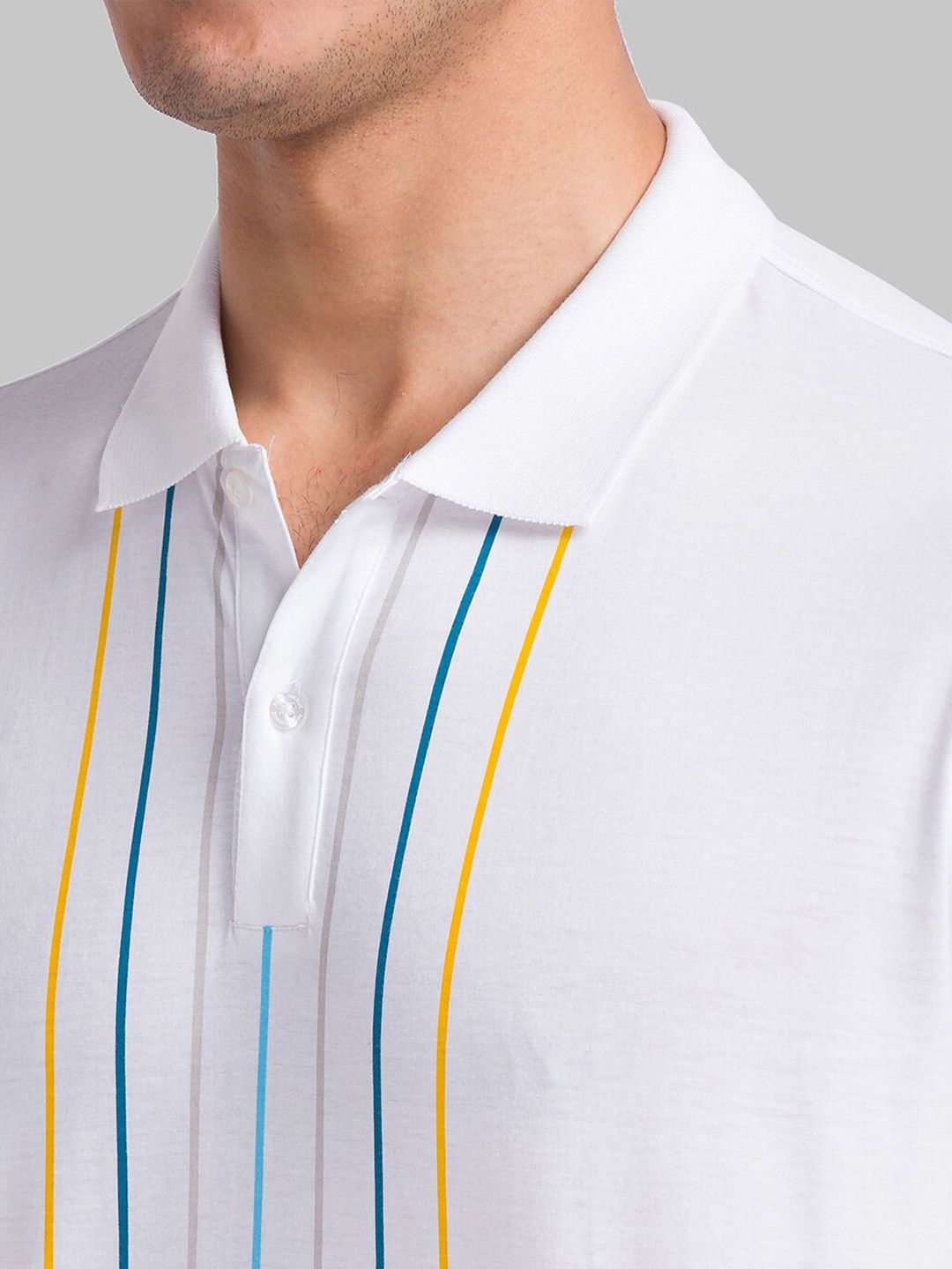 Park Avenue Striped Polo Collar Pure Cotton Slim Fit T-shirt