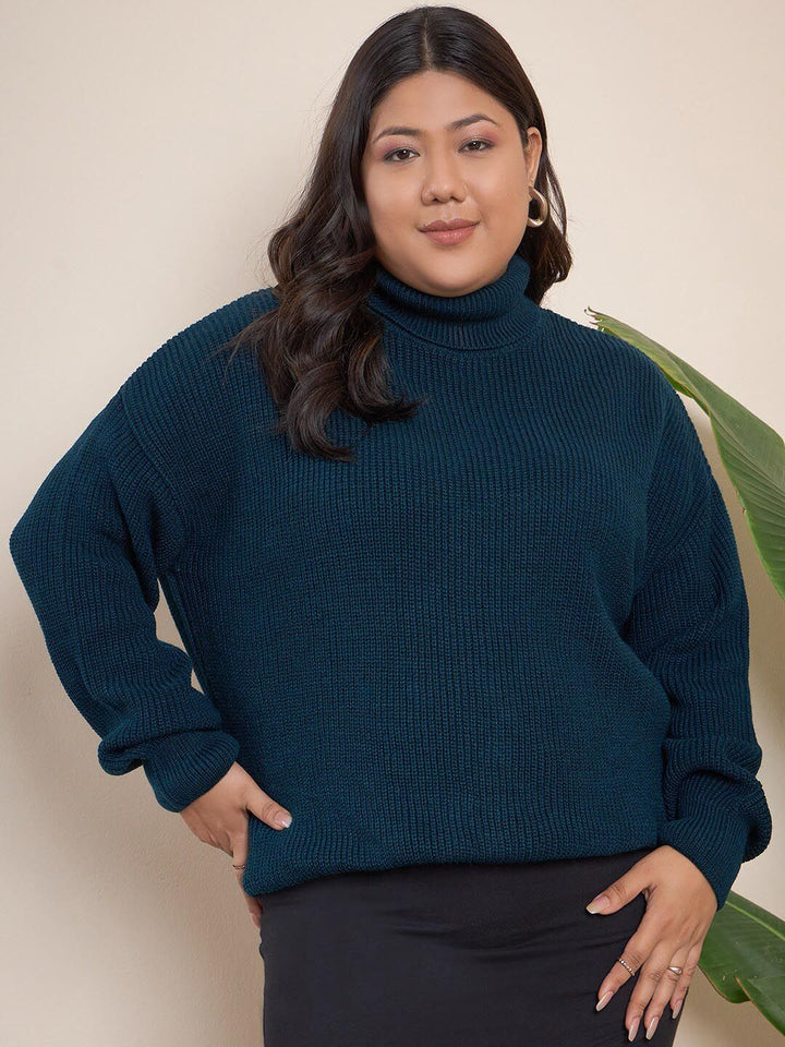 Curvy Street Plus Saiz Ribbed Turtle Neck Acrylic Pullover