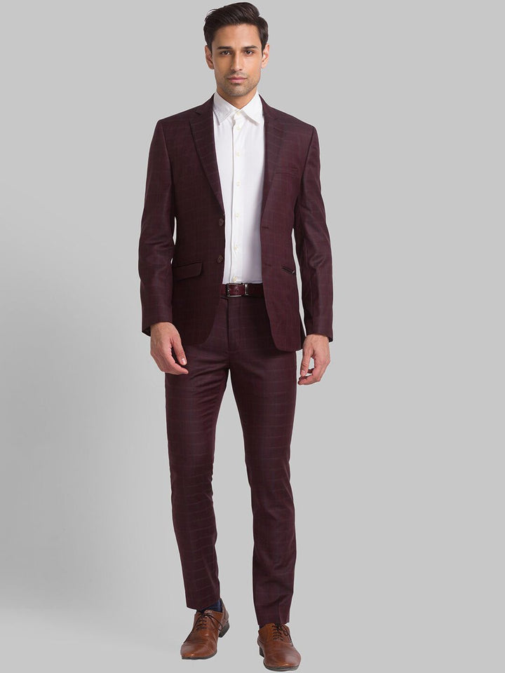 Park Avenue Men Checked Single Breasted Two Piece Formal Suit