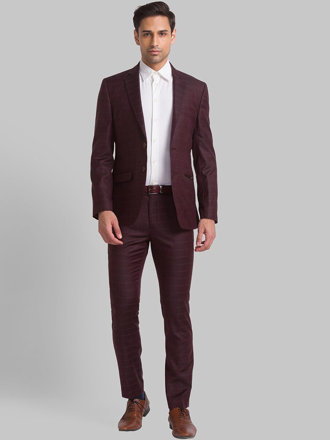 Park Avenue Men Checked Single Breasted Two Piece Formal Suit