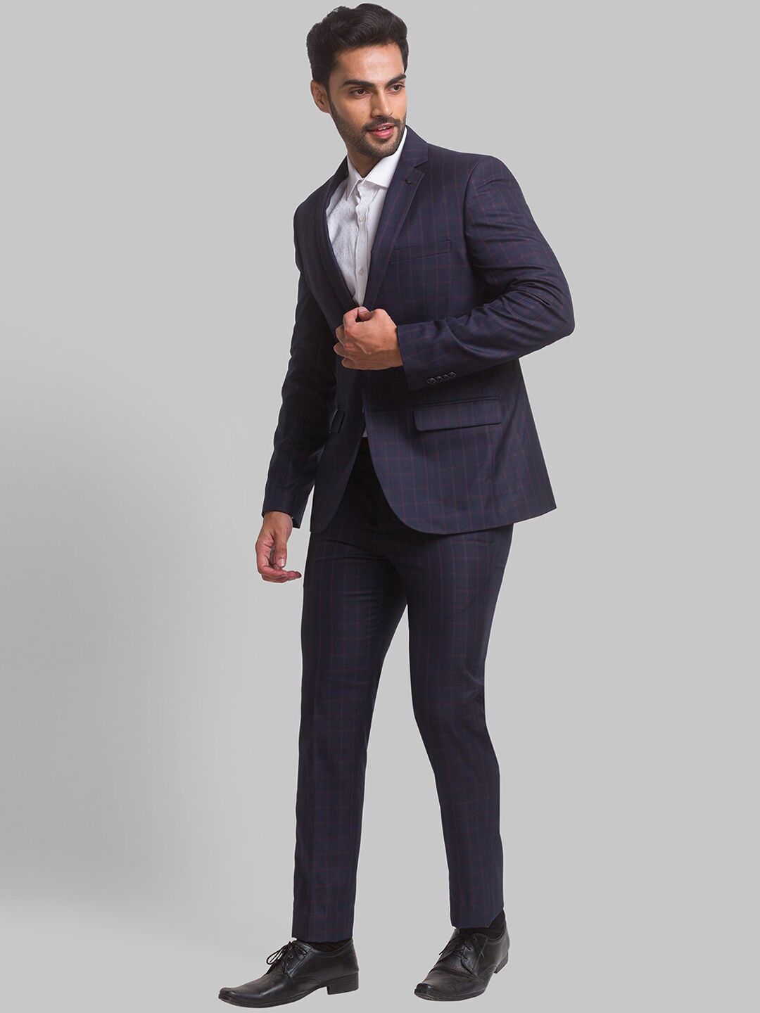 Park Avenue Men Checked Single Breasted Two Piece Formal Suit
