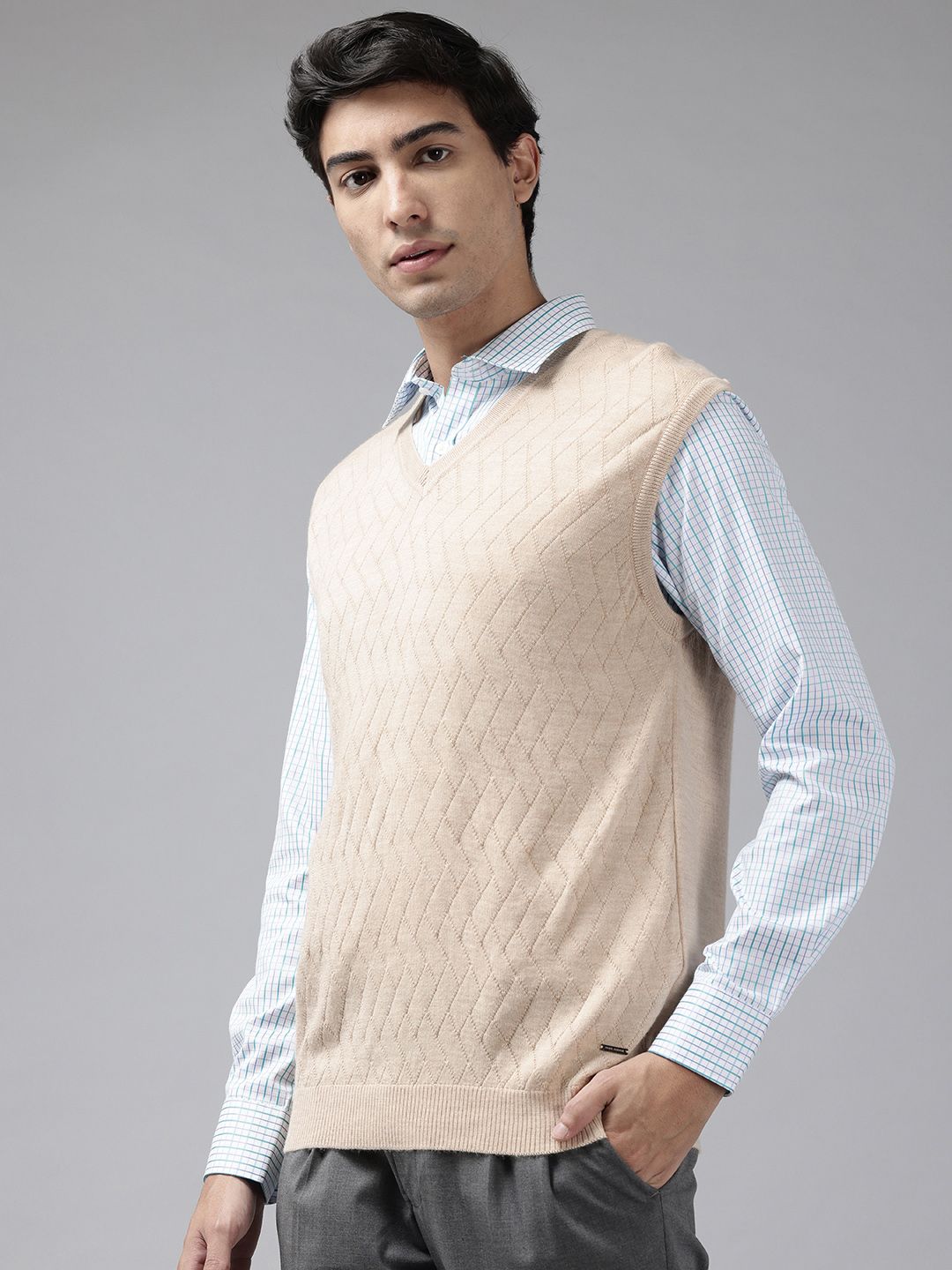 Park Avenue Self Design V-Neck Sweater