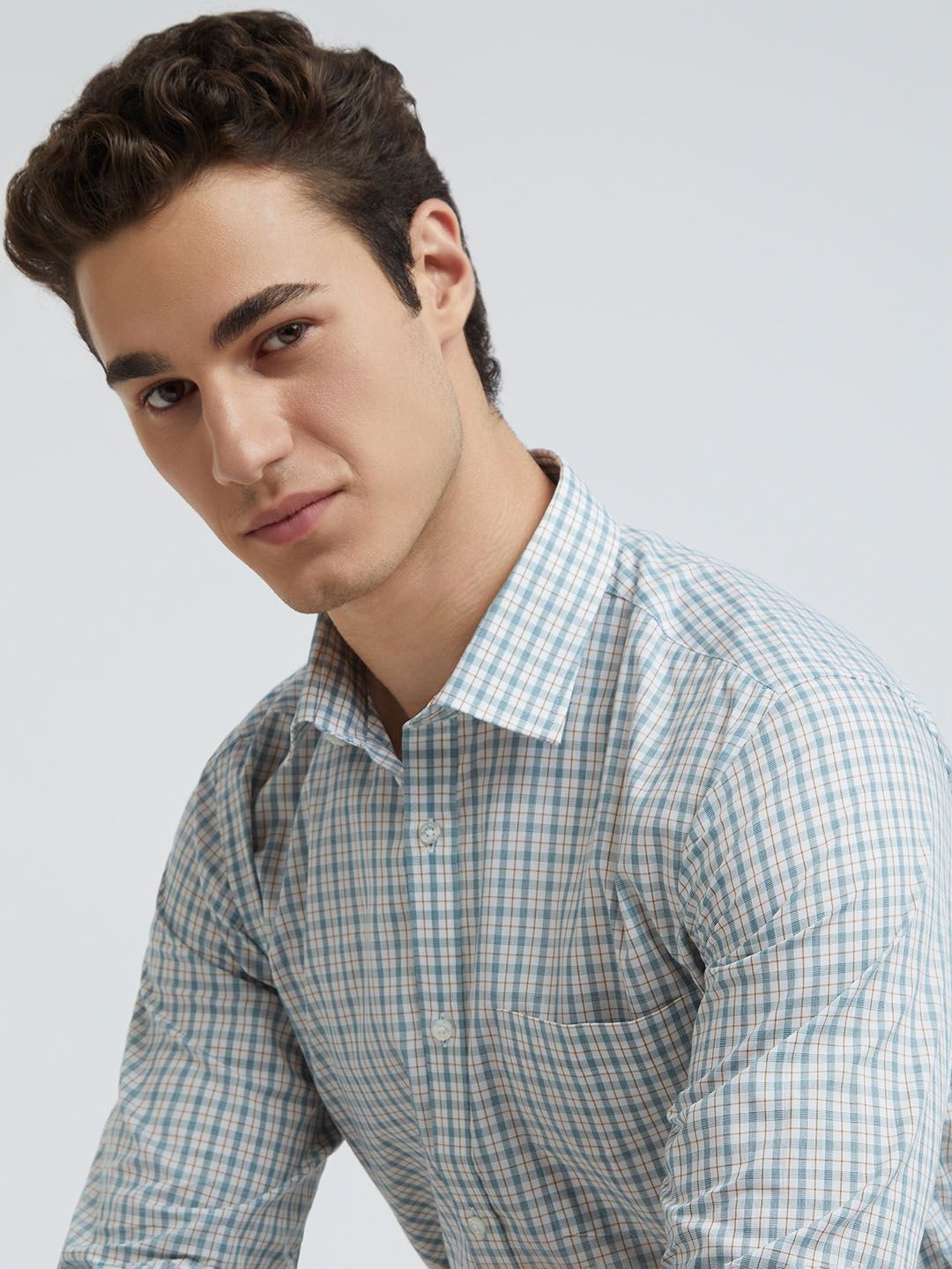 Park Avenue Slim Fit Pure Cotton Checked Formal Shirt