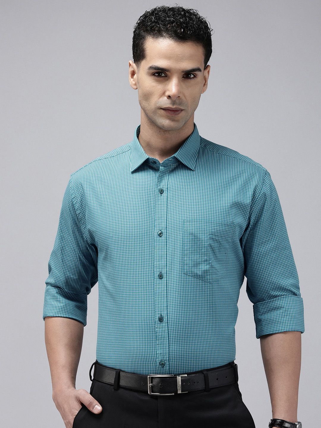 Park Avenue  Slim Fit Micro Checks Pure Cotton Formal Shirt