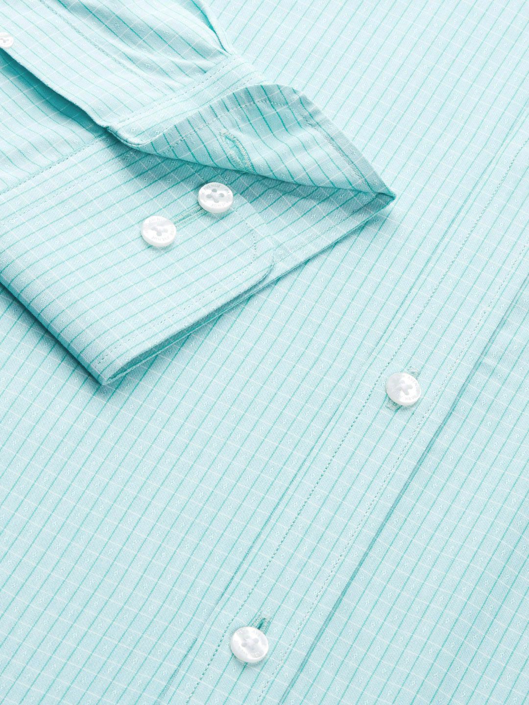 Park Avenue Men Blue Gingham Checked Pure Cotton  Slim Fit Formal Shirt
