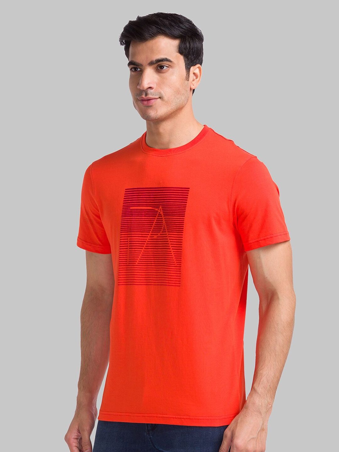 Park Avenue Geometric Printed Slim Fit T-Shirt