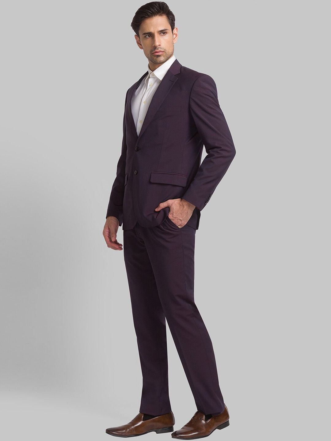 Raymond Men Single Breasted Two Piece Formal Suit