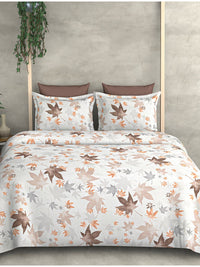 Cortina Glazed Cotton Cream Floral 140 TC King Bedsheet with 2 Pillow Covers
