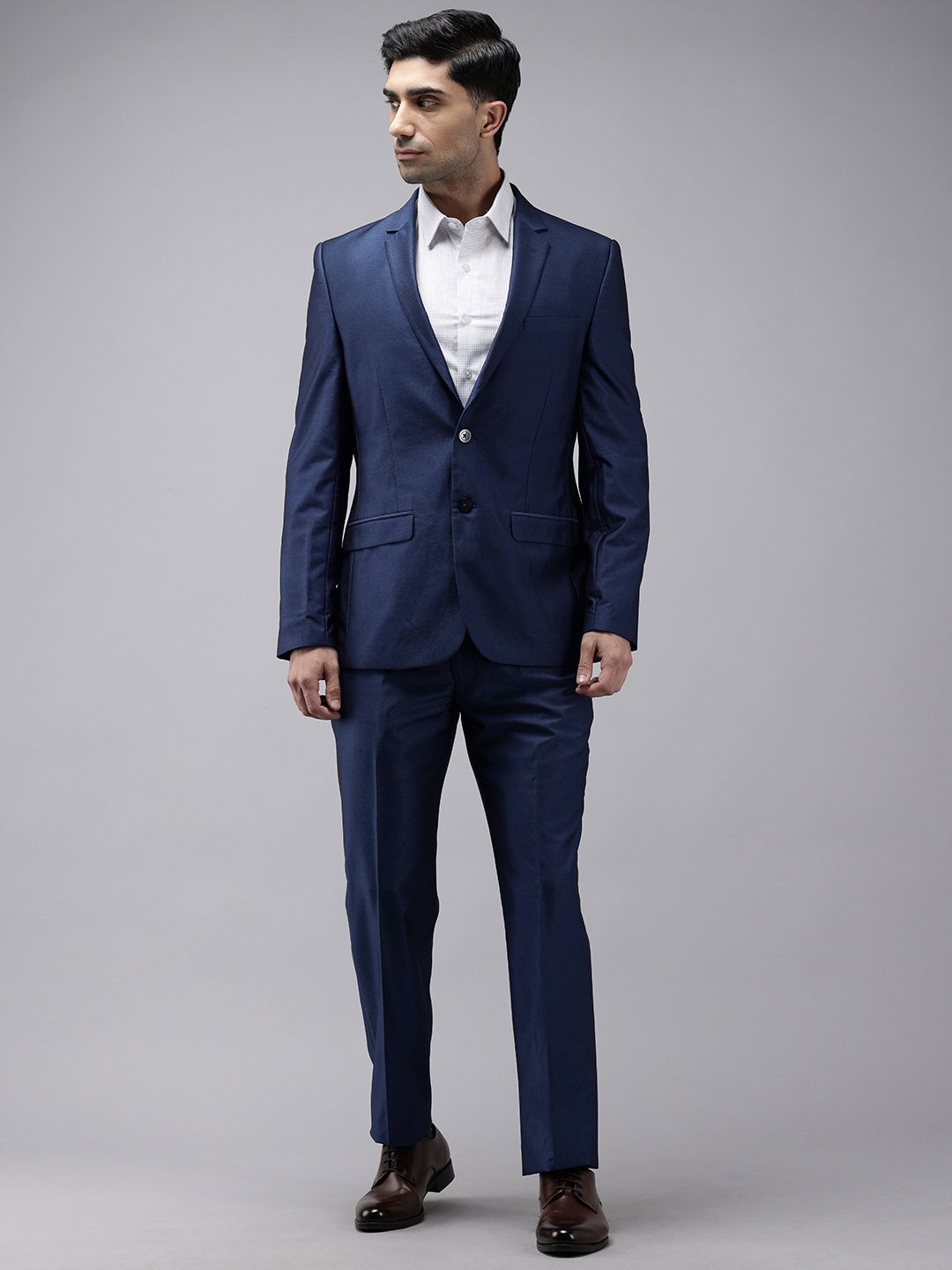 Park Avenue Self Design Single Breasted 2-Peice Suit
