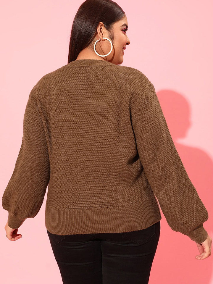 CURVY STREET Plus Size Women Brown Cable Knit Acrylic Pullover