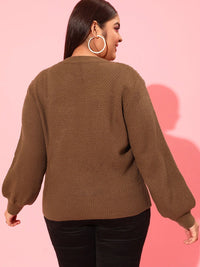 CURVY STREET Plus Size Women Brown Cable Knit Acrylic Pullover