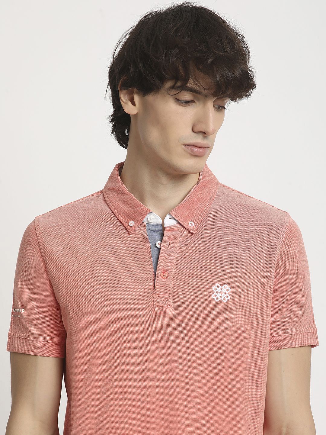 The Bear House Men Solid Polo Collar Regular Fit Tshirt