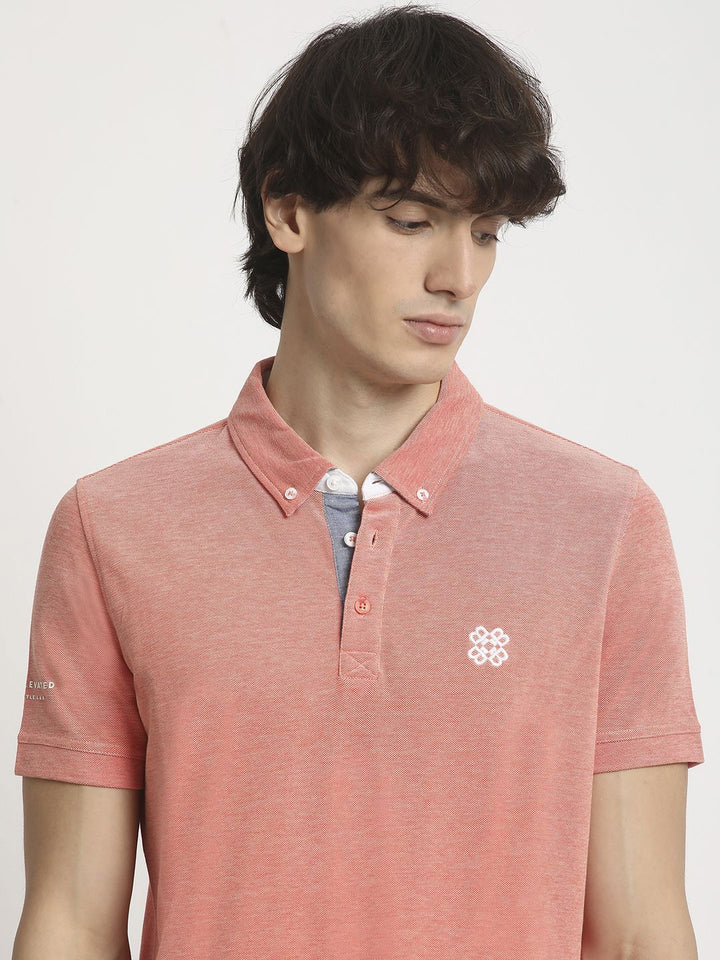 The Bear House Men Solid Polo Collar Regular Fit Tshirt