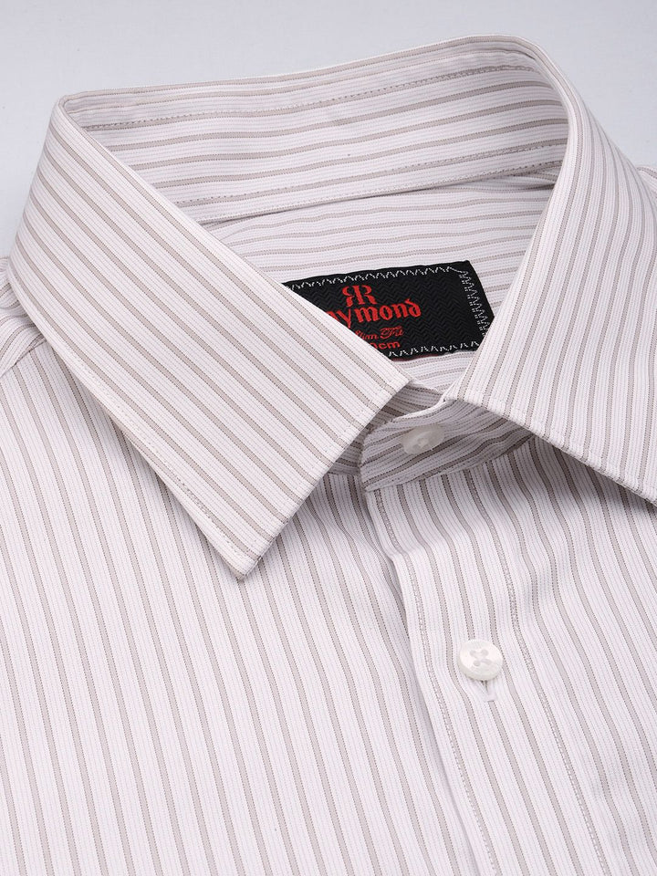 Raymond Slim Fit Vertical Stripes Pure Cotton Formal Shirt