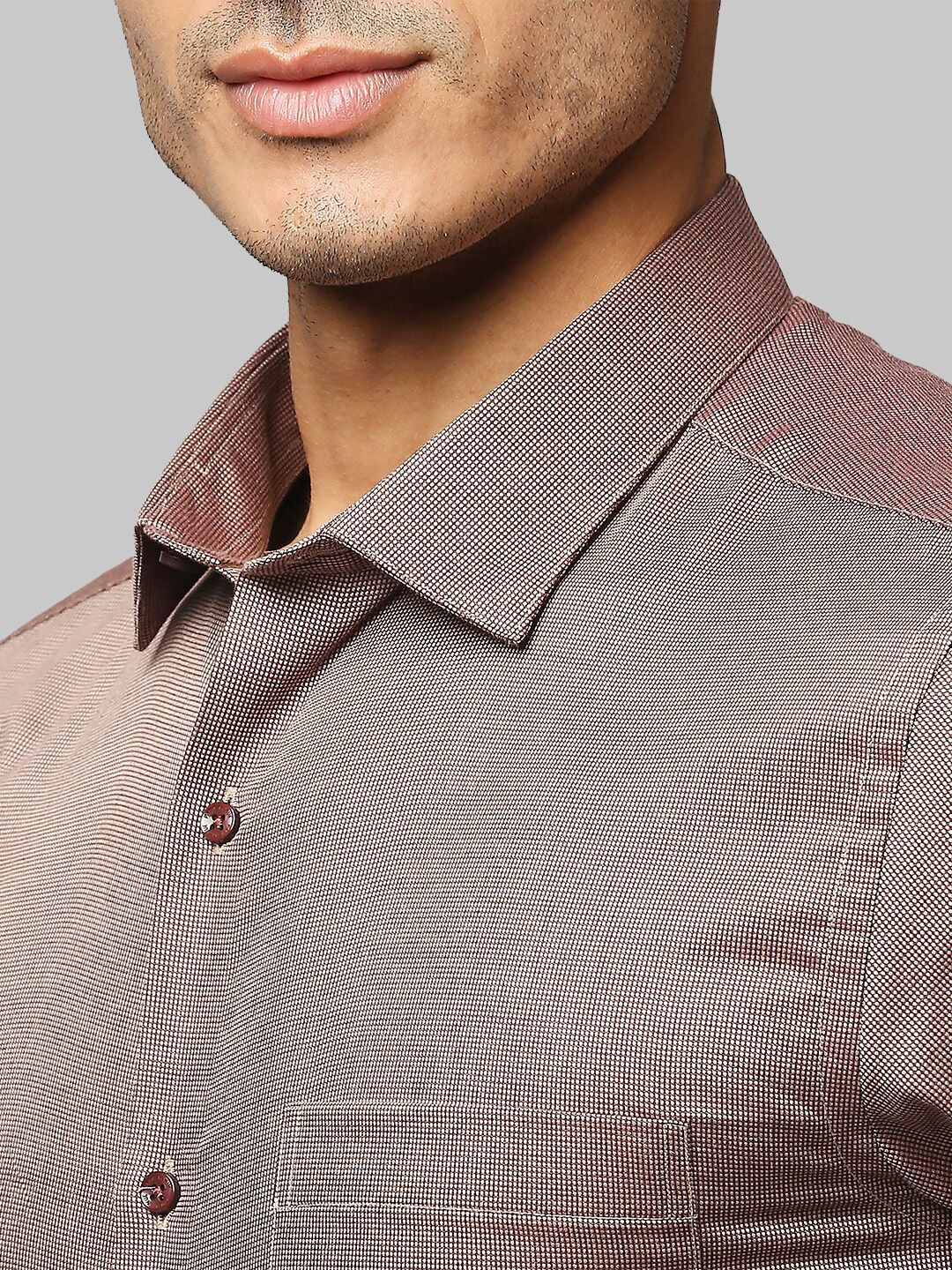Park Avenue Men Brown Slim Fit Checked Cotton Formal Shirt