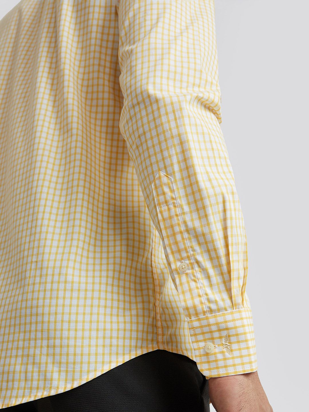 Park Avenue Slim Fit Gingham Checks Pure Cotton Formal Shirt