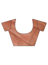Tikhi Imli Sequinned Organza Saree
