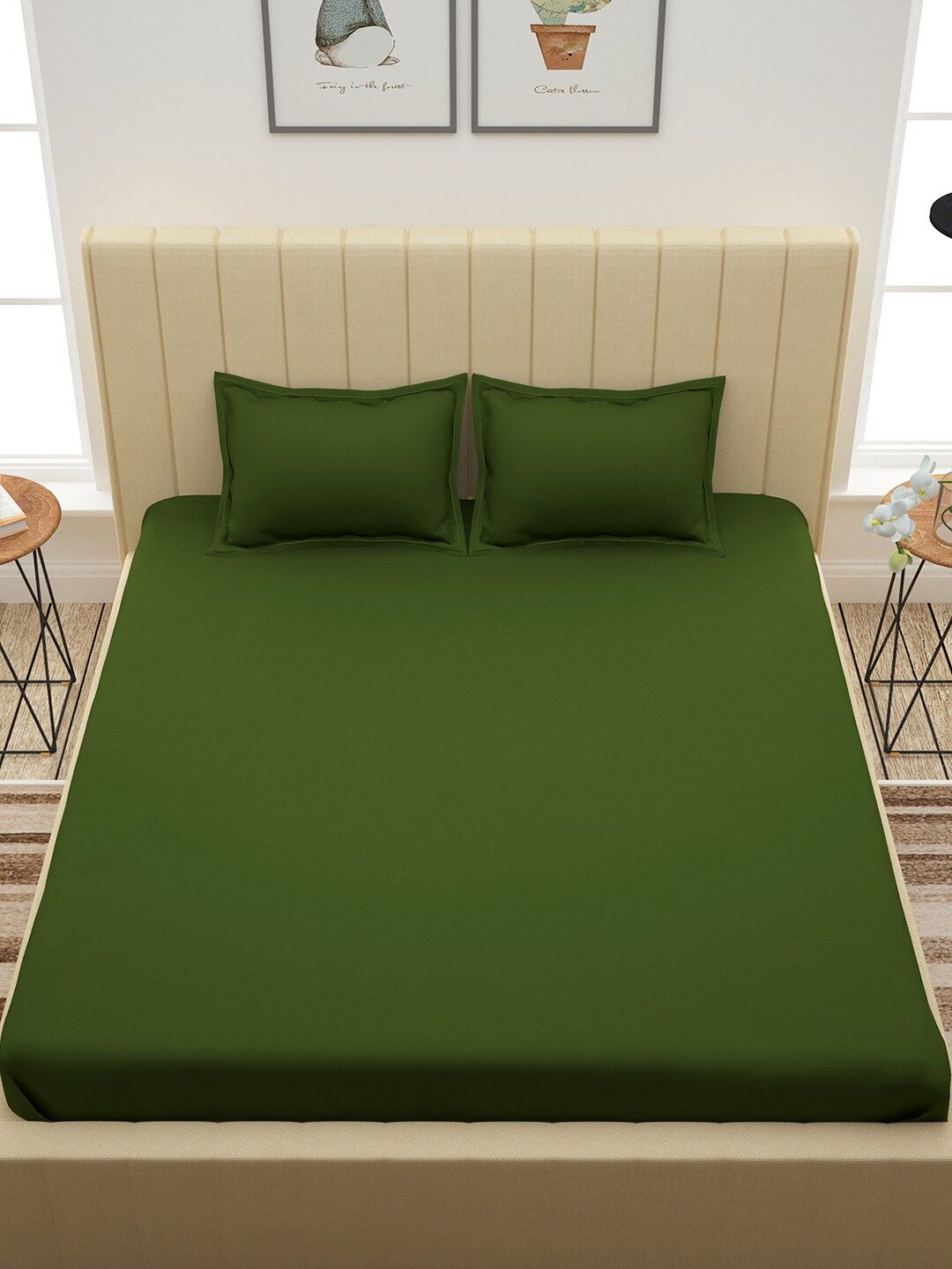 Story@home Green Solid 300 TC Cotton 1 King Bedsheet with 2 Pillow Covers